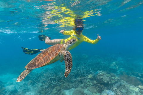 Ocean Safari Great Barrier Reef Experience In Cape Tribulation - E Caravan Parks 14