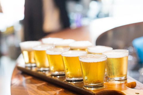 XXXX Brewery Tour - E Caravan Parks 9