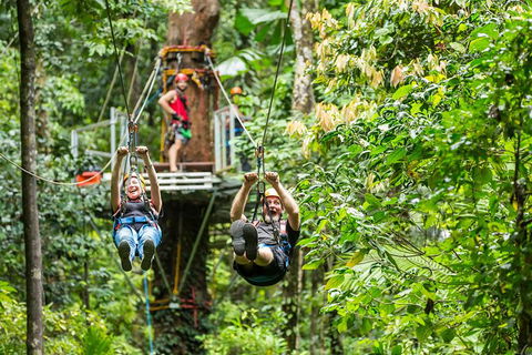 Cape Tribulation Jungle Surfing Canopy Tour - E Caravan Parks 1