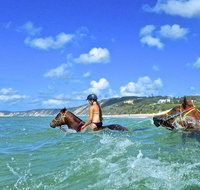 Horse Swimming Ride from Rainbow Beach - E Caravan Parks