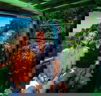 Skyrail Rainforest Cableway Day Trip from Palm Cove - E Caravan Parks