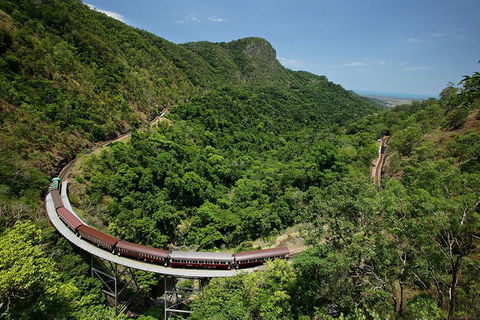 Skyrail Rainforest Cableway Day Trip From Palm Cove - E Caravan Parks 5