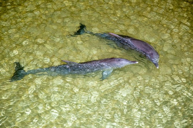 Brisbane QLD E Caravan Parks