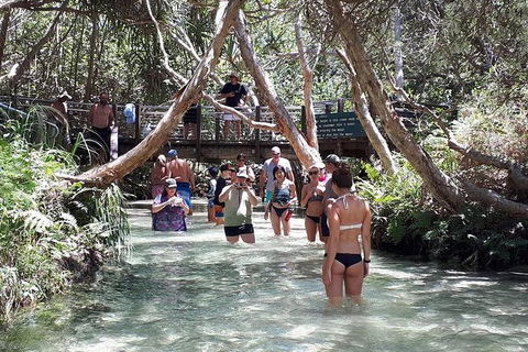 Overnight Fraser Island Camping Safari From Brisbane - E Caravan Parks 1