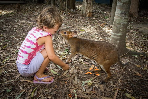 Hartley's Crocodile Adventures Day Trip From Cairns - E Caravan Parks 1