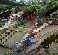 Hartley's Crocodile Adventures Day Trip from Cairns - E Caravan Parks