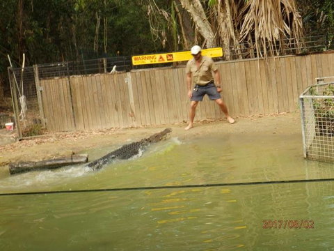 Hartley's Crocodile Adventures Day Trip From Cairns - E Caravan Parks 8