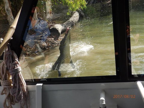 Hartley's Crocodile Adventures Day Trip From Cairns - E Caravan Parks 5