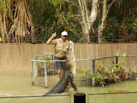 Hartley's Crocodile Adventures Day Trip From Cairns - E Caravan Parks 2