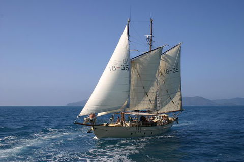 Tallship Sailing And Snorkeling Adventure From The Whitsundays - E Caravan Parks 0