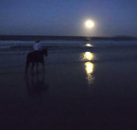 Full Moon Horse Ride at Rainbow Beach - E Caravan Parks