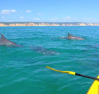 Half-Day Kayak with Dolphins and 4WD Beach Drive from Rainbow Beach - E Caravan Parks
