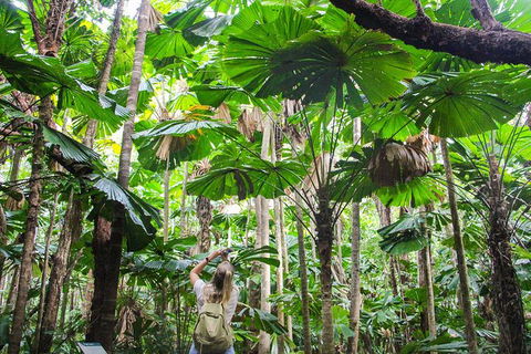 Cape Tribulation, Daintree Rainforest And Wildlife Tour - E Caravan Parks 0