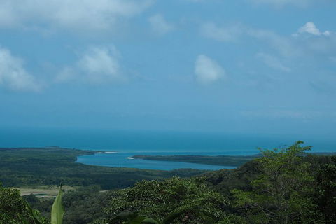 Cape Tribulation, Daintree Rainforest And Wildlife Tour - E Caravan Parks 7