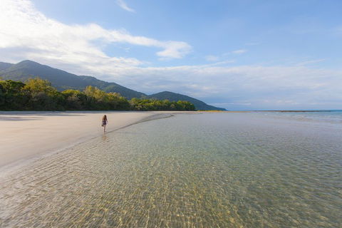 Cape Tribulation, Daintree Rainforest And Wildlife Tour - E Caravan Parks 6