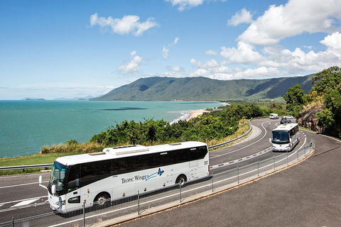 Cape Tribulation, Daintree Rainforest And Wildlife Tour - E Caravan Parks 3