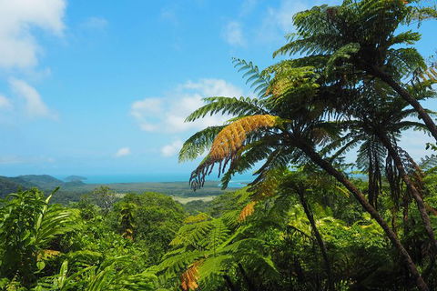 Cape Tribulation, Daintree Rainforest And Wildlife Tour - E Caravan Parks 5