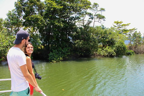 Cape Tribulation, Daintree Rainforest And Wildlife Tour - E Caravan Parks 8