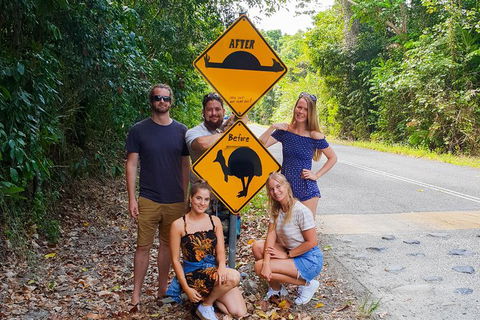 Cape Tribulation, Daintree Rainforest And Wildlife Tour - E Caravan Parks 10