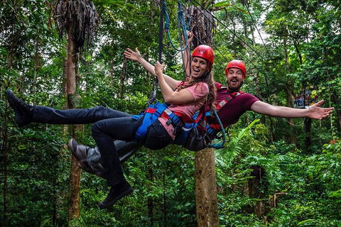 Daintree Atttractions Pass: The Best Of The Daintree In A Day - E Caravan Parks 1