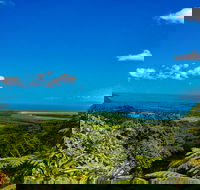 Cape Tribulation Day Tour - E Caravan Parks