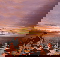 Darwin Harbour Sunset Cruise with Optional Buffet Dinner - E Caravan Parks