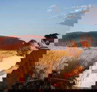Uluru Ayers Rock Sunset with Outback Barbecue Dinner and Star Tour - E Caravan Parks