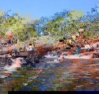 Litchfield and Jumping Crocodiles Full Day Trip from Darwin - E Caravan Parks