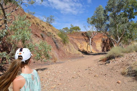 West MacDonnell Ranges Small-Group Full-Day Guided Tour - E Caravan Parks 2