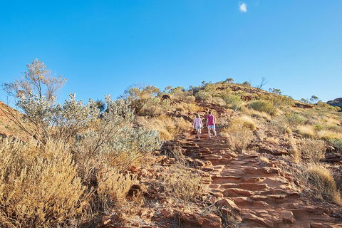 Kings Canyon Guided Rim Walk - E Caravan Parks 5