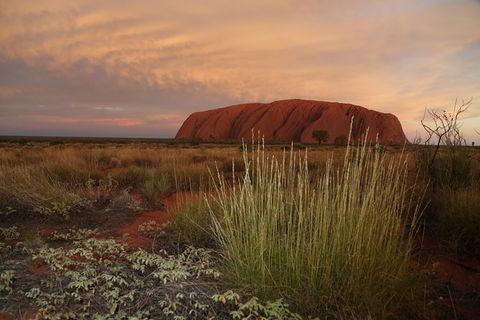 Coach Transfer From Kings Canyon Resort To Ayers Rock Resort - E Caravan Parks 7