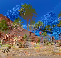 Palm Valley 4WD Tour from Alice Springs - E Caravan Parks