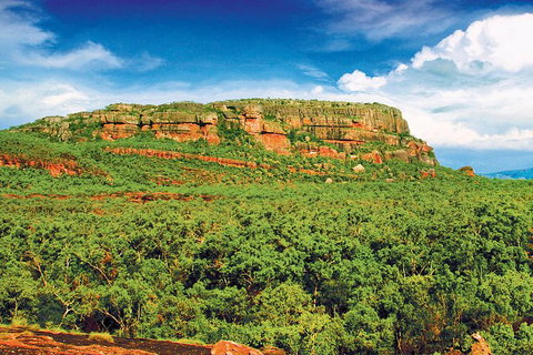 Kakadu, Nourlangie And Yellow Waters Tour From Darwin - E Caravan Parks 1