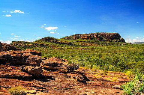Kakadu, Nourlangie And Yellow Waters Tour From Darwin - E Caravan Parks 34