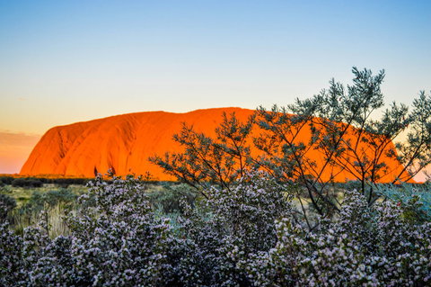 Uluru Sunrise And Kata Tjuta Half Day Trip - E Caravan Parks 2