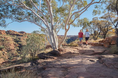 Coach Transfer From Kings Canyon To Alice Springs - E Caravan Parks 8