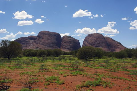 Uluru (Ayers Rock) And The Olgas Tour Including Sunset Dinner From Alice Springs - E Caravan Parks 0