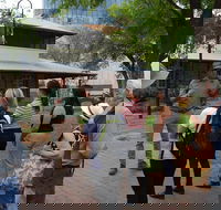 Alice Springs Walking Tours - E Caravan Parks