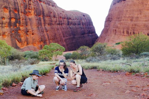 Afternoon Kata Tjuta Small Group Tour - E Caravan Parks 7