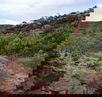 Palm Valley and Hermannsburg 1 Day 4WD Tour - E Caravan Parks