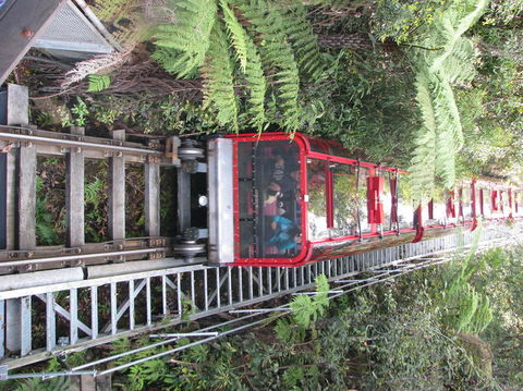All Inclusive Blue Mountains Small-Group Day Trip From Sydney - E Caravan Parks 16