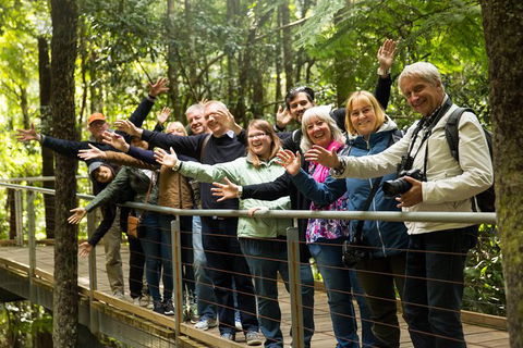 All Inclusive Blue Mountains Small-Group Day Trip From Sydney - E Caravan Parks 30