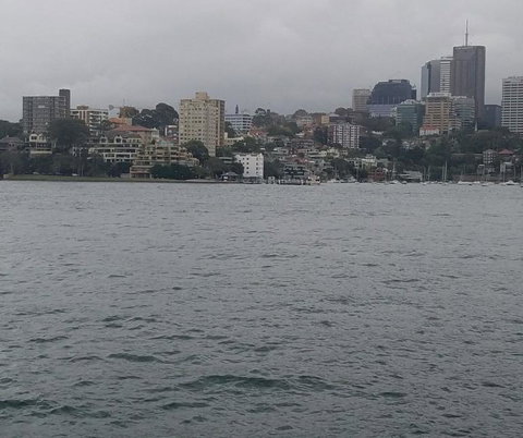 Big Bus Sydney And Bondi Hop-on Hop-off Tour - E Caravan Parks 6