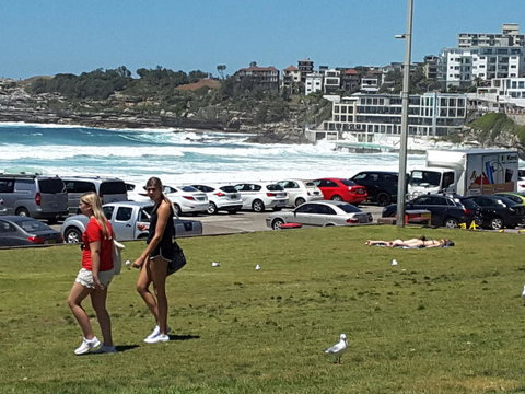 Big Bus Sydney And Bondi Hop-on Hop-off Tour - E Caravan Parks 12