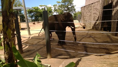 Sydney Harbour Ferry With Taronga Zoo Entry Ticket - E Caravan Parks 4