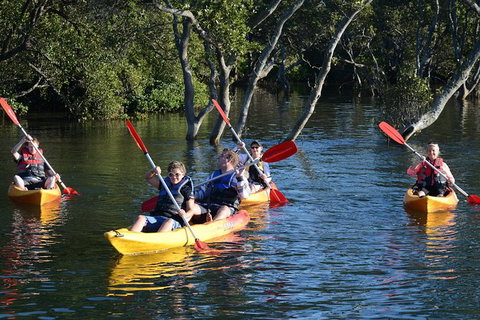 Kayak And SUP Guided Tours - E Caravan Parks 0