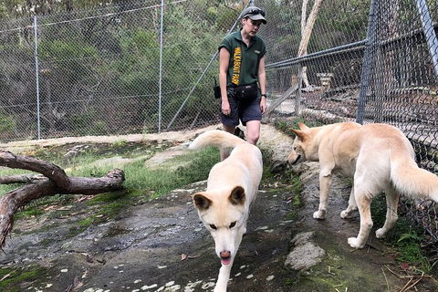 Visit Walkabout Wildlife Sanctuary - E Caravan Parks 8