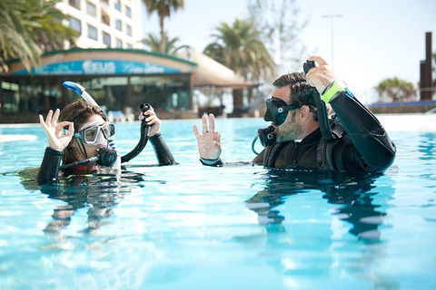 Try Scuba Diving Experience: Sydney - E Caravan Parks 0