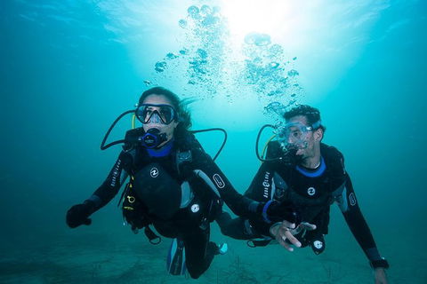 Try Scuba Diving Experience: Sydney - E Caravan Parks 3