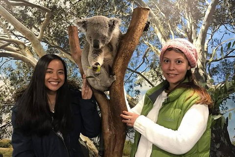 Australia Multi-City Attractions Pass - E Caravan Parks 2